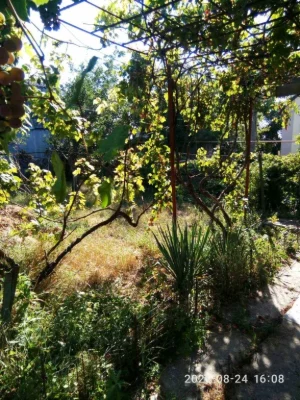 House for sale in a country cooperative on Kazarskoye