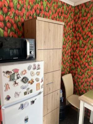 Район Северного рынка! Квартира на втором этаже из пяти! Не угловая, очень теплая.