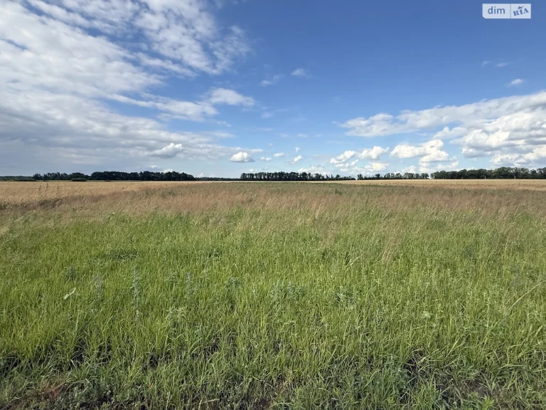 Agricultural land for sale