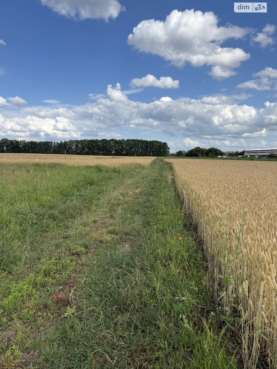 Agricultural land for sale