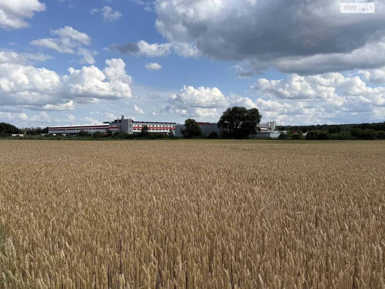 Agricultural land for sale