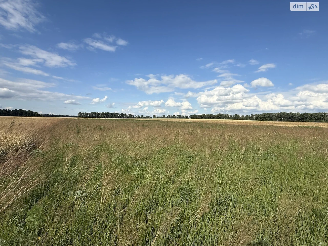 Agricultural land for sale