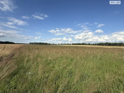 Agricultural land for sale