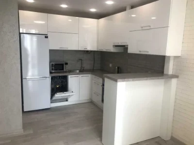 Apartment. Kyivne Olgy Street, Lviv