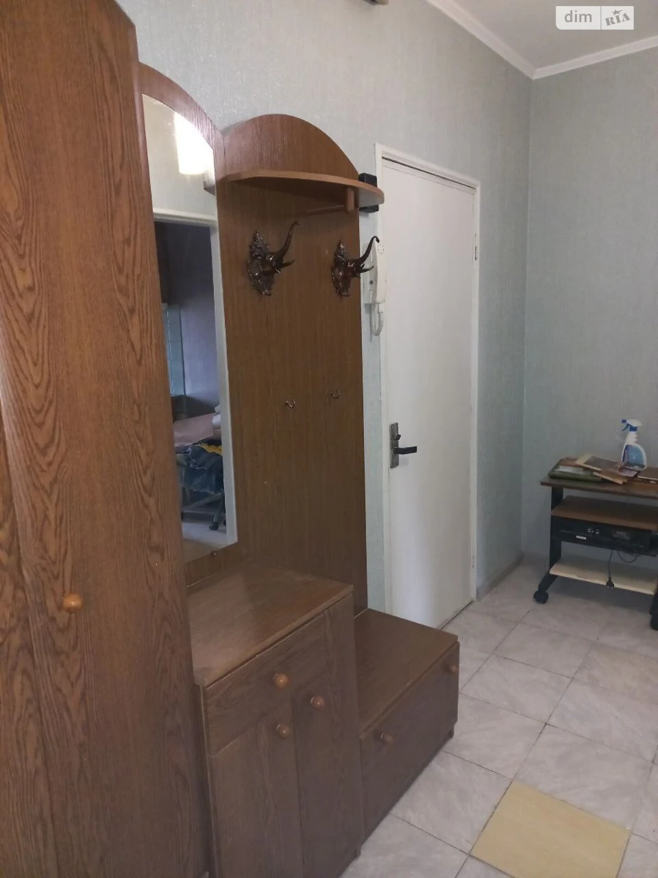 Long-Term Rental: One-Bedroom Apartment in Troschyna
