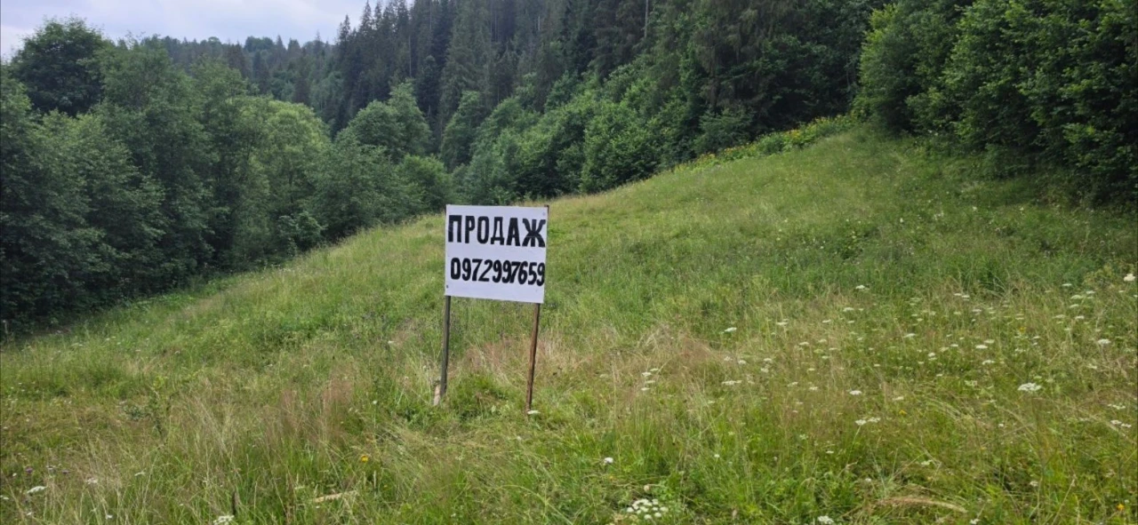 Продаж ділянки у Карпатах в с. Нижній  Рожанці