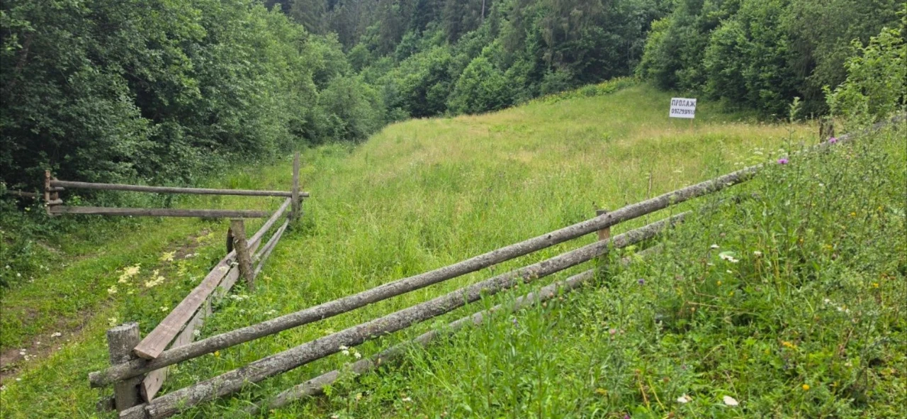 Продаж ділянки у Карпатах в с. Нижній  Рожанці