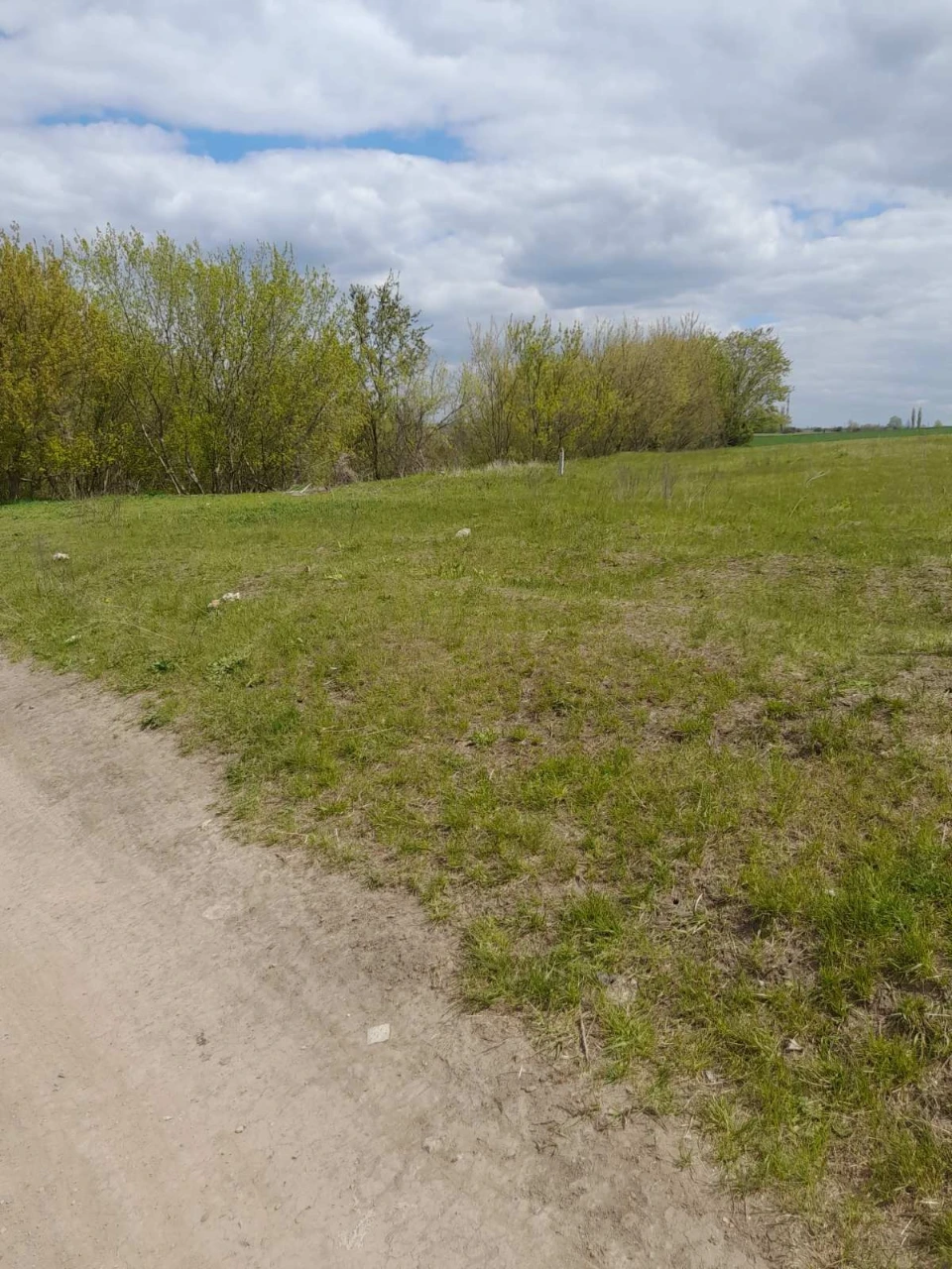 For Sale: Land Plot