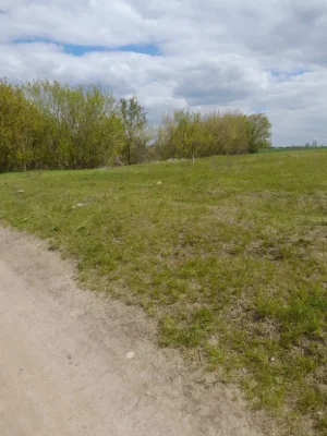 For Sale: Land Plot