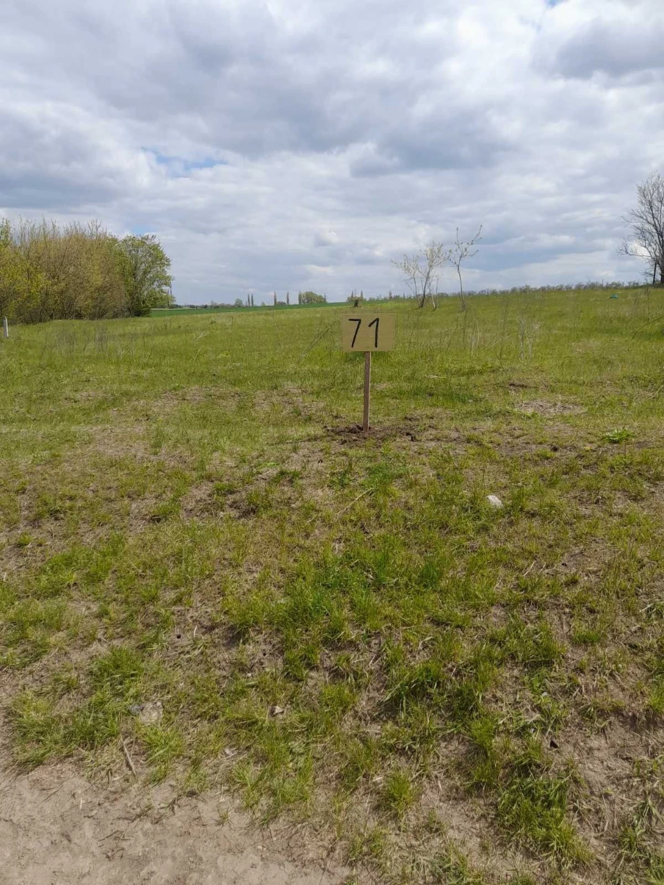 For Sale: Land Plot