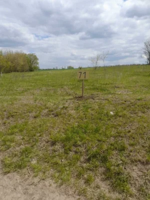 For Sale: Land Plot
