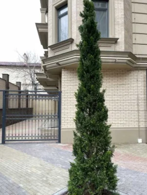 Продажа 1-комнатной квартиры 48,5 м² ЖК Консул. Фонтан, Одес