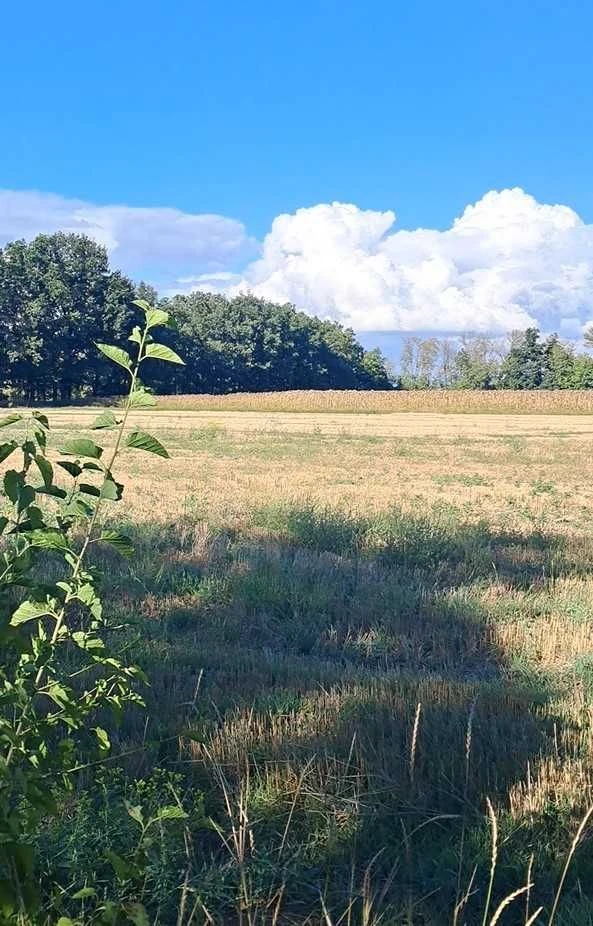 Residential Condition! Separate House! 25 Acres, Privatized.