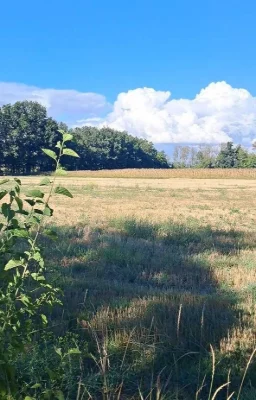 Residential Condition! Separate House! 25 Acres, Privatized.