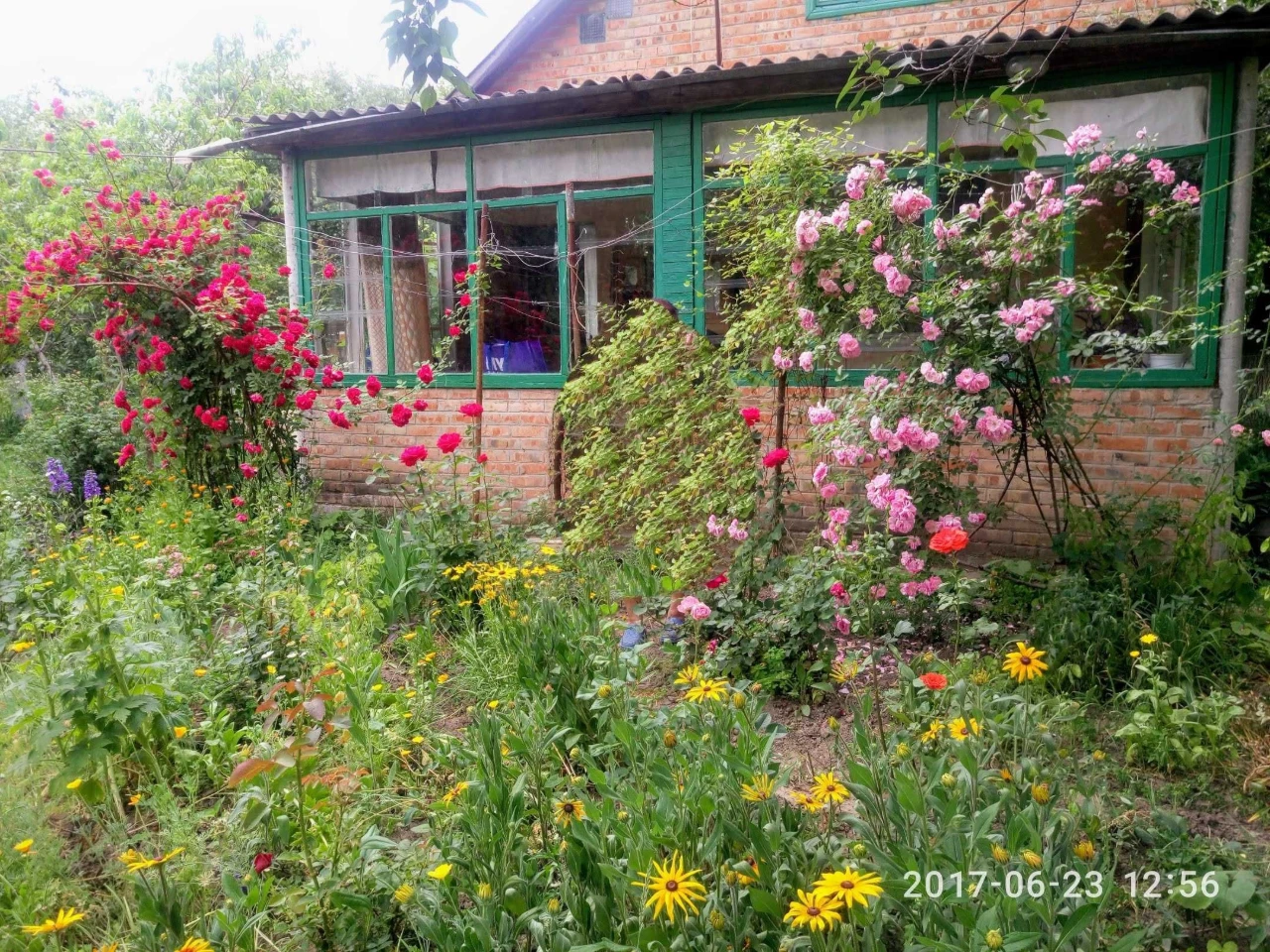 продам дачу біля річки