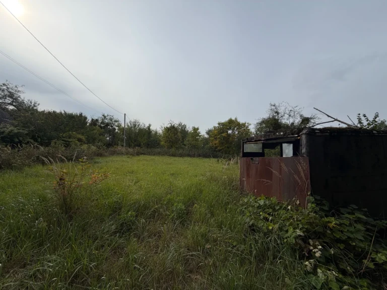 Land Plot of 5.95 Hectares in Lviv | Klepar | Шевchenkivs