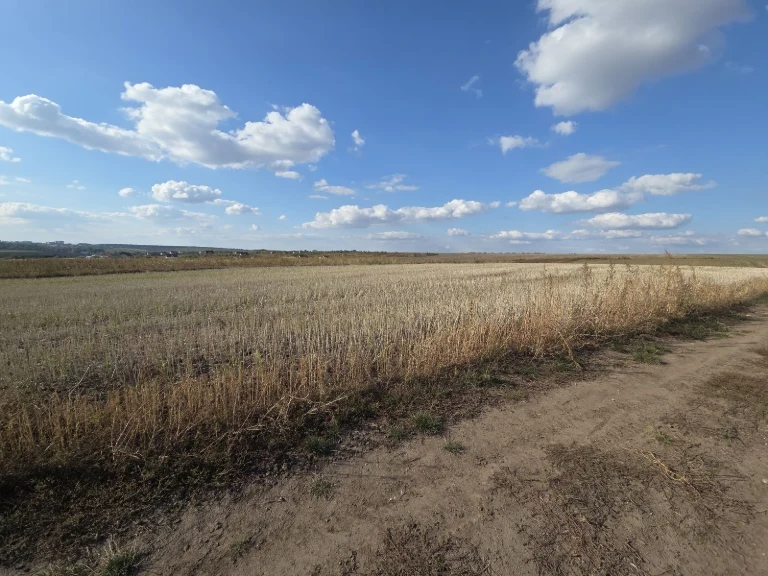 Продаж ділянки 22 сотих під житлову забудову у Байківцях