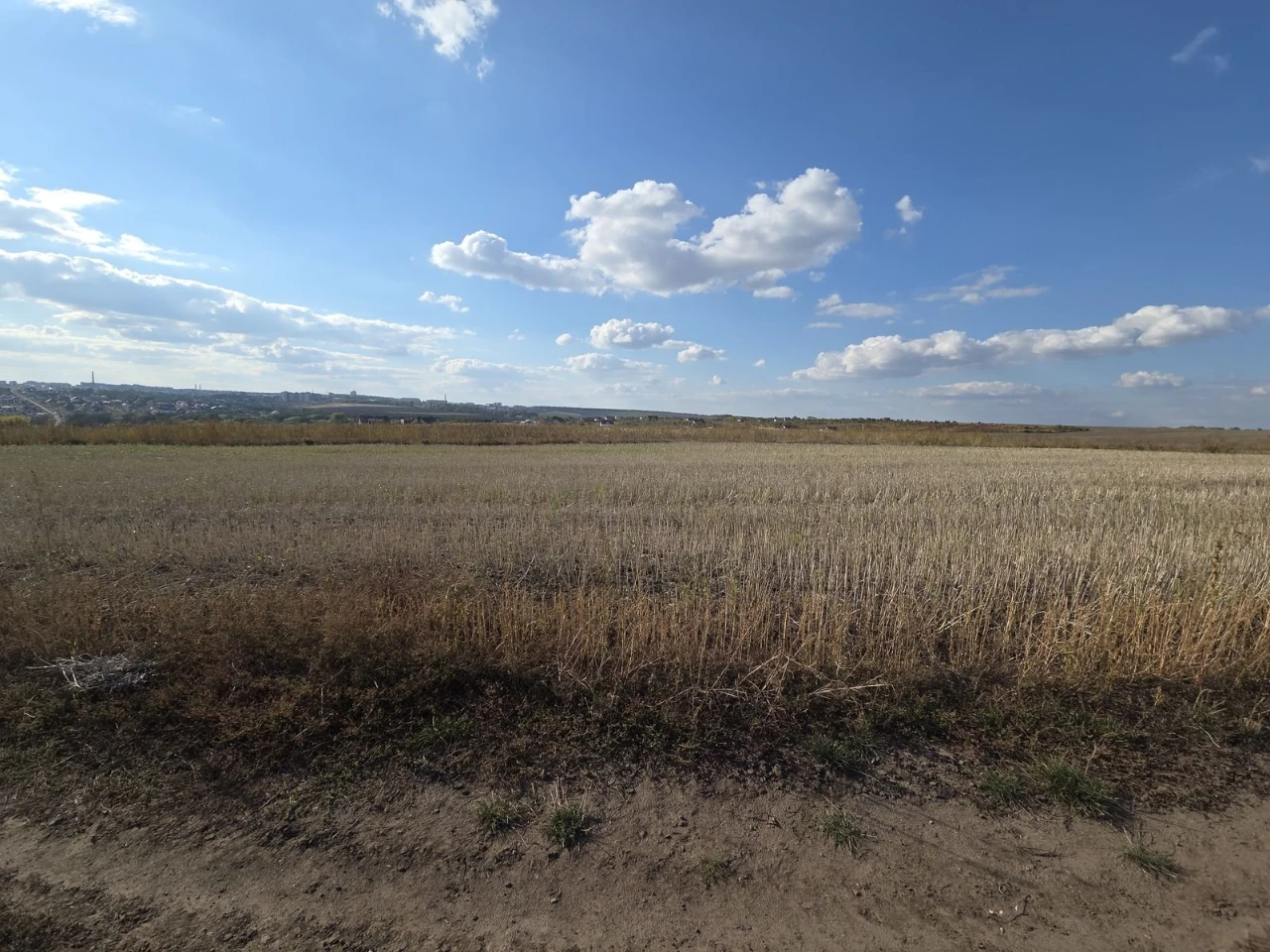 Продаж ділянки 22 сотих під житлову забудову у Байківцях