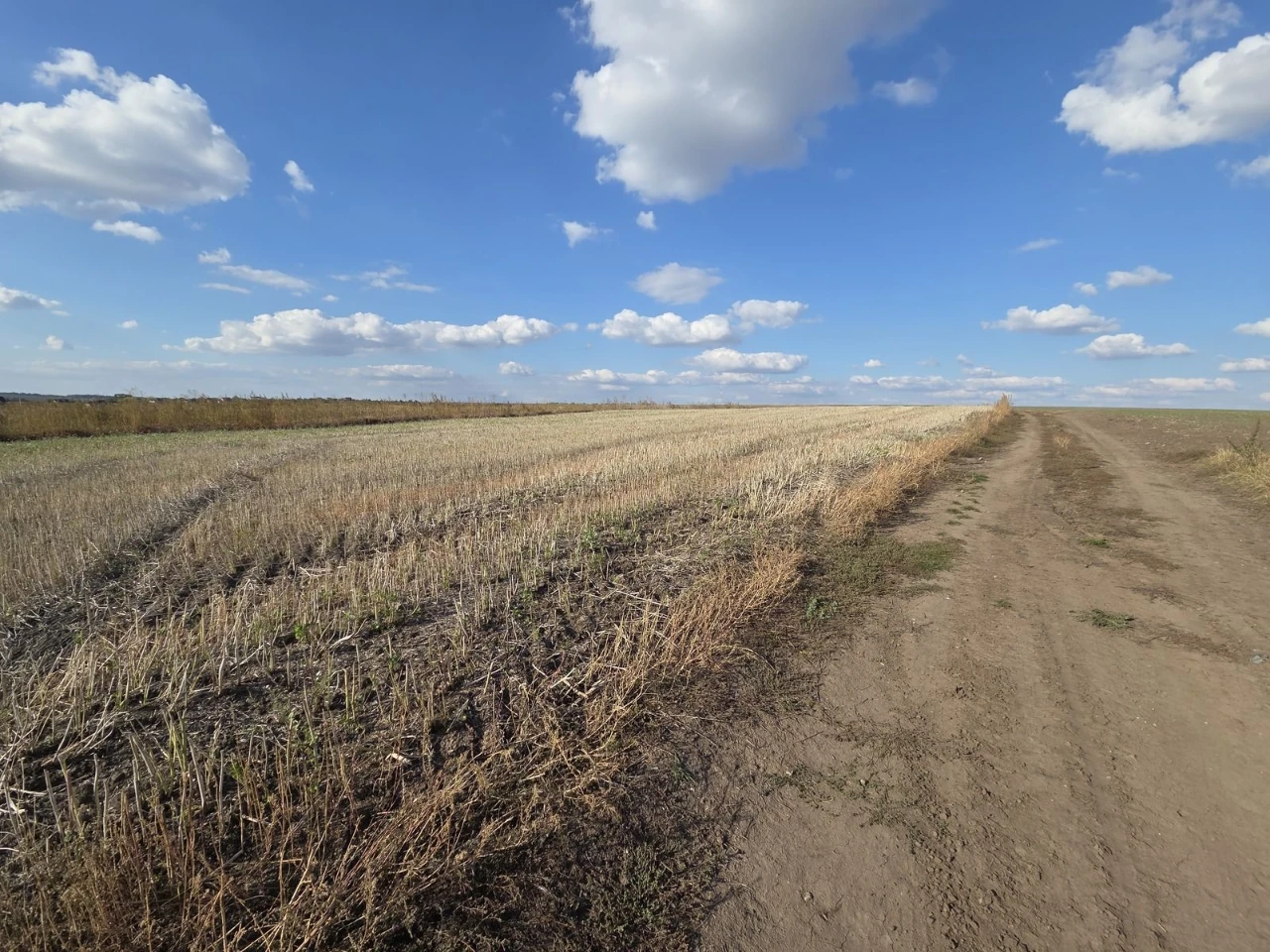 Продаж ділянки 22 сотих під житлову забудову у Байківцях