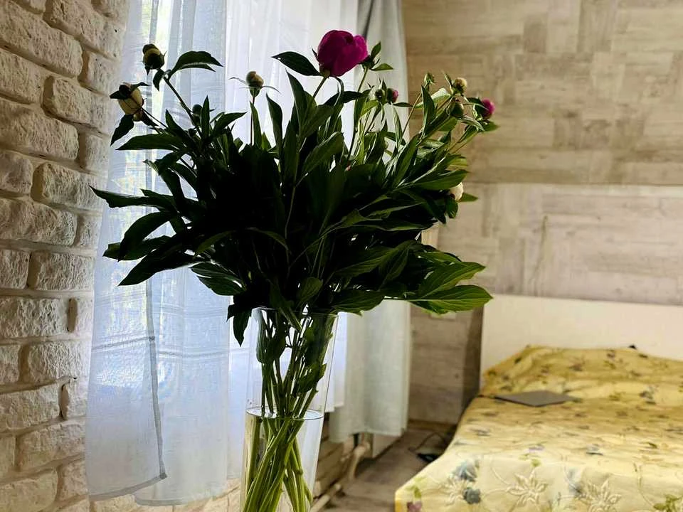 Квартира. Одесса, улица Болгарская