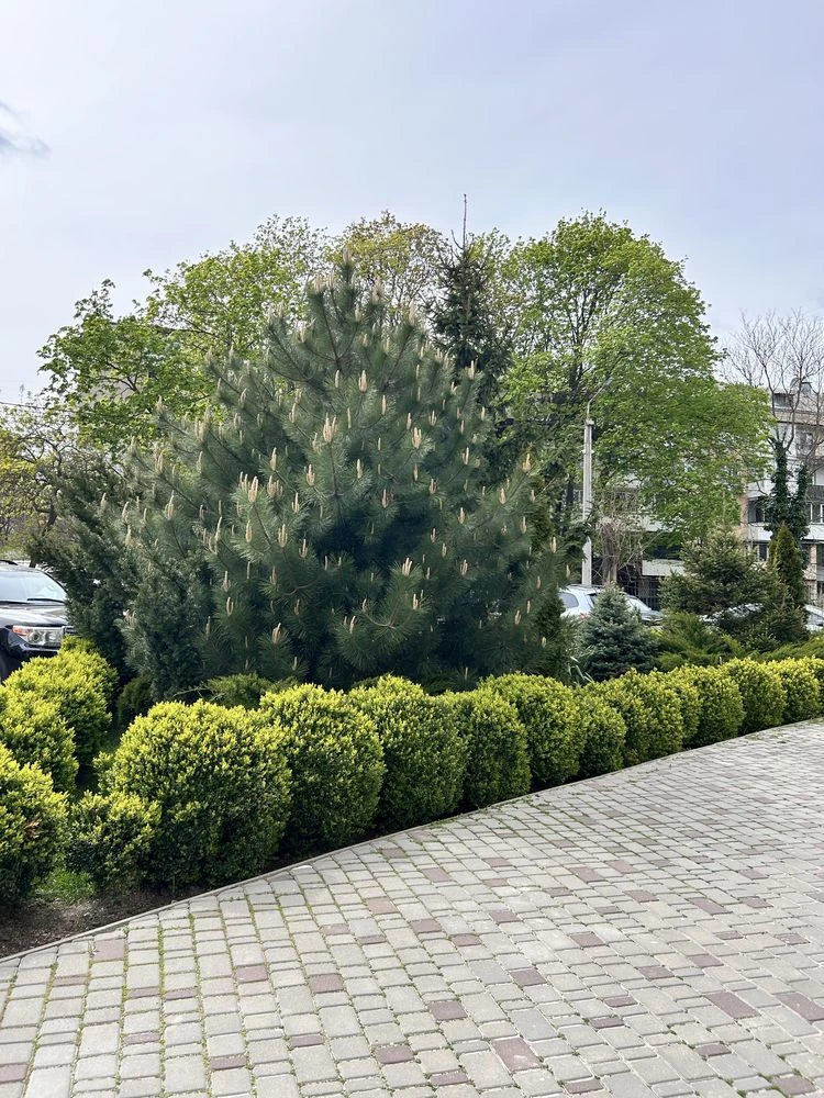Продажа 2-комнатной квартиры в ЖК Акапулько, 95 м2, ул. Педагогическая