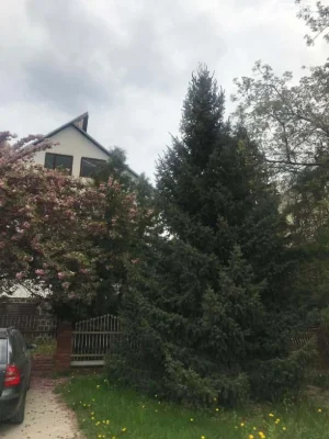 Продажа Дома Компотный