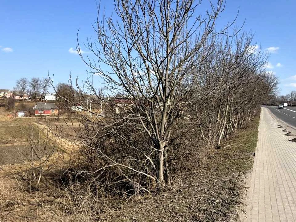 Ділянка. Хмельницький, Миколи Амосова вул.
