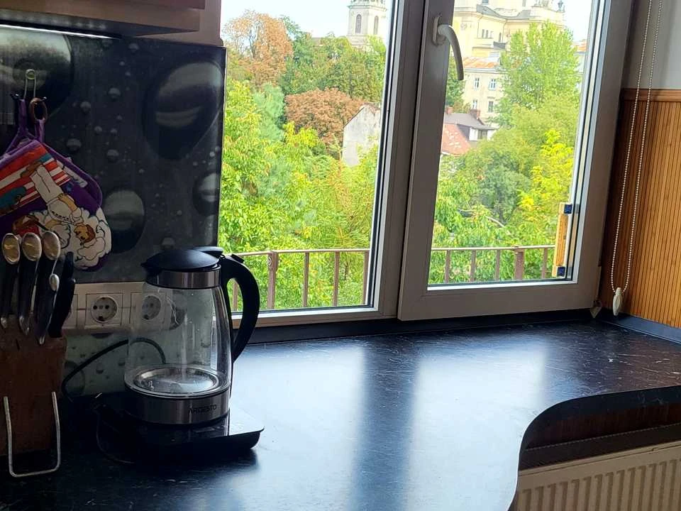 Apartment. Sheptytskykh Street, Lviv
