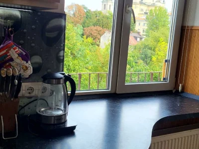 Apartment. Sheptytskykh Street, Lviv