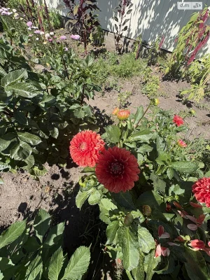 Продаж Ділянка під житлову забудову Академічний