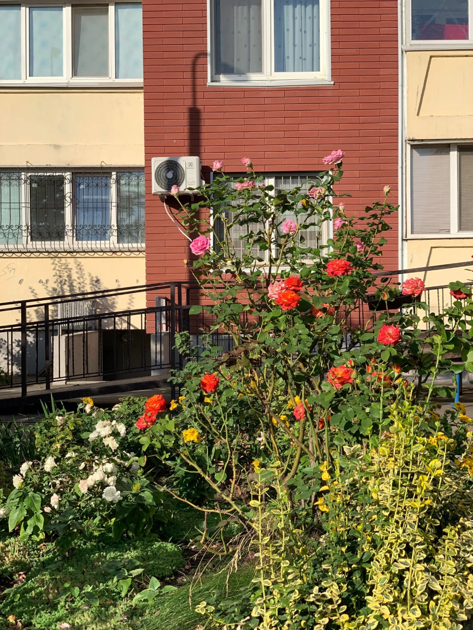 Продаж 1 К квартири Ващека,7 Чавдар