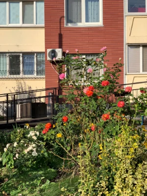 Продаж 1 К квартири Ващека,7 Чавдар
