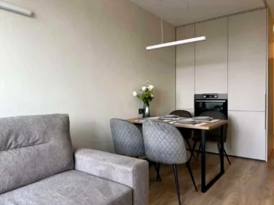 Оренда квартири 1-кімн. 47 м² 9/24 пов.