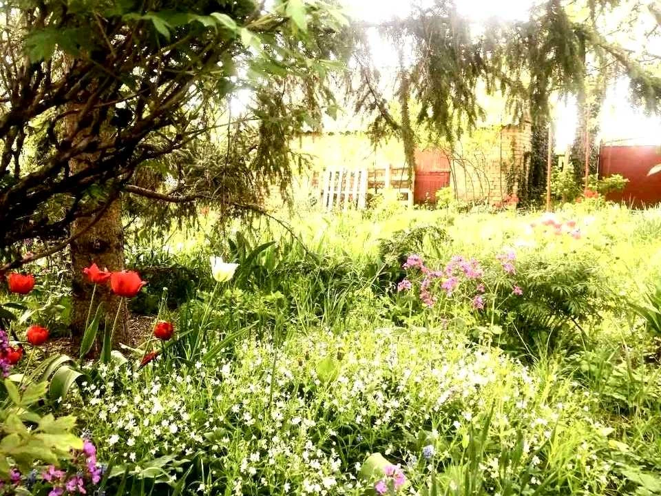 Дом. Кропивницкий, В Петропавловская