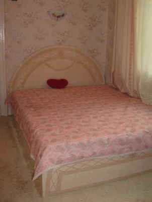 Modern 2-bedroom apartment near the Botanical Garden, gas