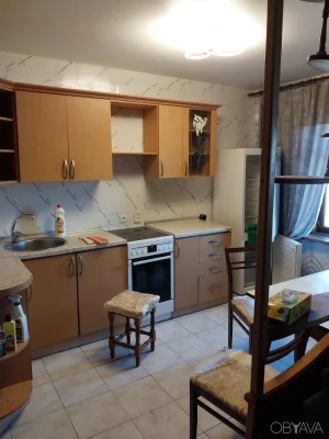 Apartment for rent, 2 rooms, on Drizera, Kyiv
