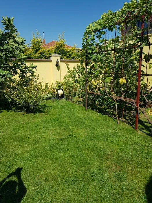 A house with a plot of 3 acres. Garage. Closed territory. sunny