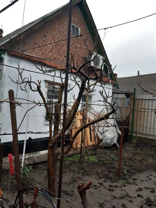Продам дом Запорожье