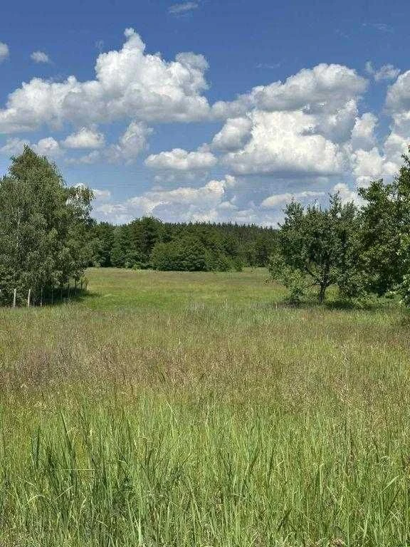 Терентіївка. Продам будинок під реконструкцію