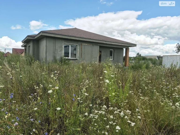 Sale: House in Desnyansky