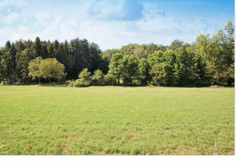Land for Sale: Cottage Plot