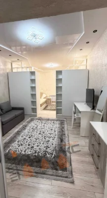 One-bedroom apartment after major renovation on Horodok Street, 149