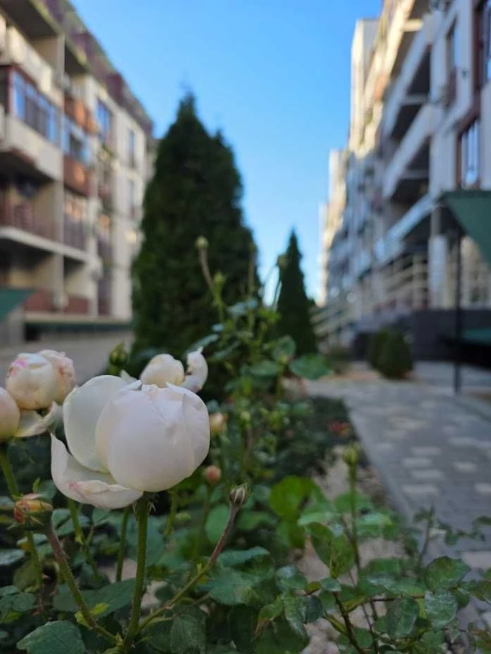 Продается 1-комнатная квартира в новостройке на Бочарова
