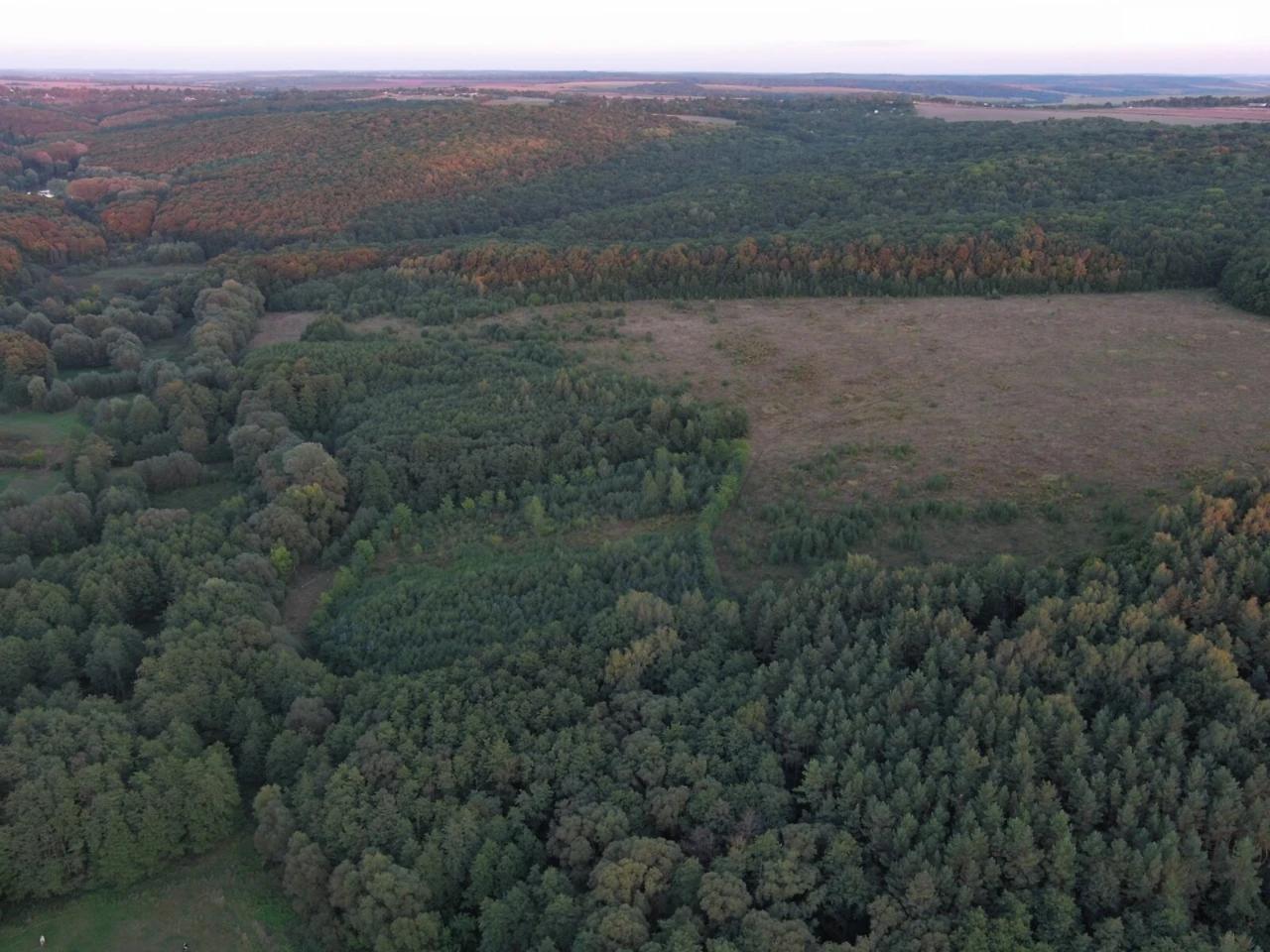 Продаж Земля сільськогосподарського призначення