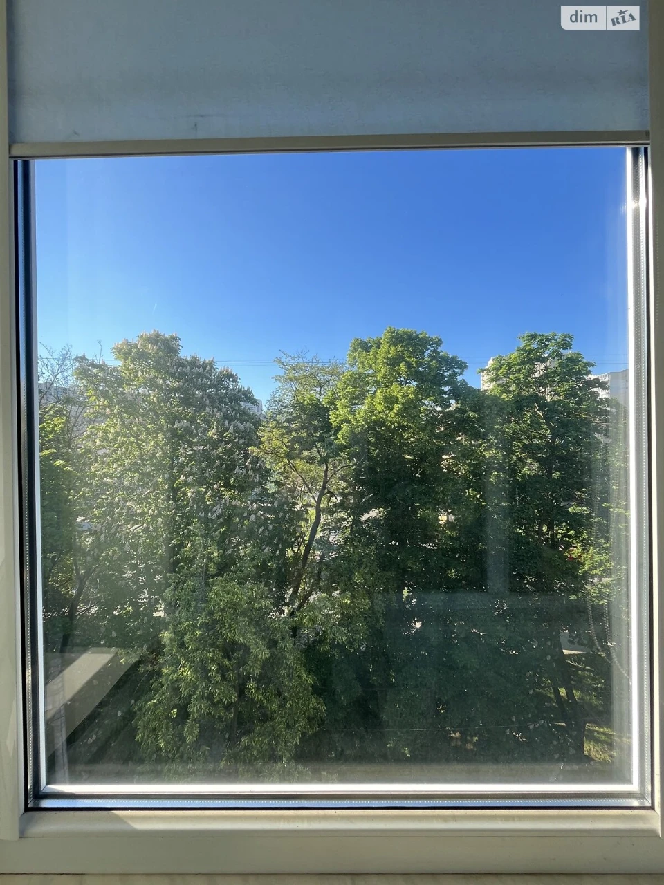 Long-Term Rental Apartment in Primorsky District