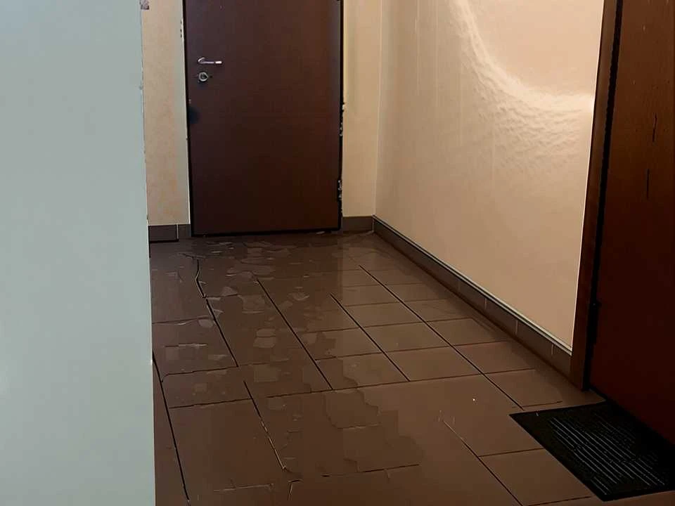 Apartment. Volodymyr Iasiuk Street, Ivano-Frankivsk