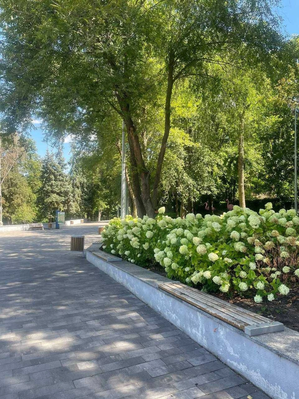 For Sale: 2-bedroom apartment, ground floor, 23900 thousand UAH