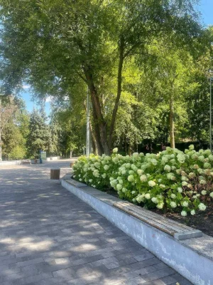 For Sale: 2-bedroom apartment, ground floor, 23900 thousand UAH