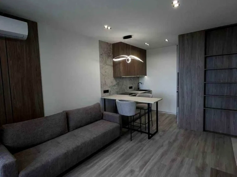 Оренда квартири 1-кімн. 46 м² 10/24 пов.