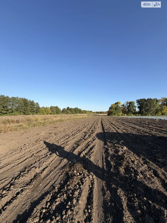 Land for Agricultural Purposes for Sale